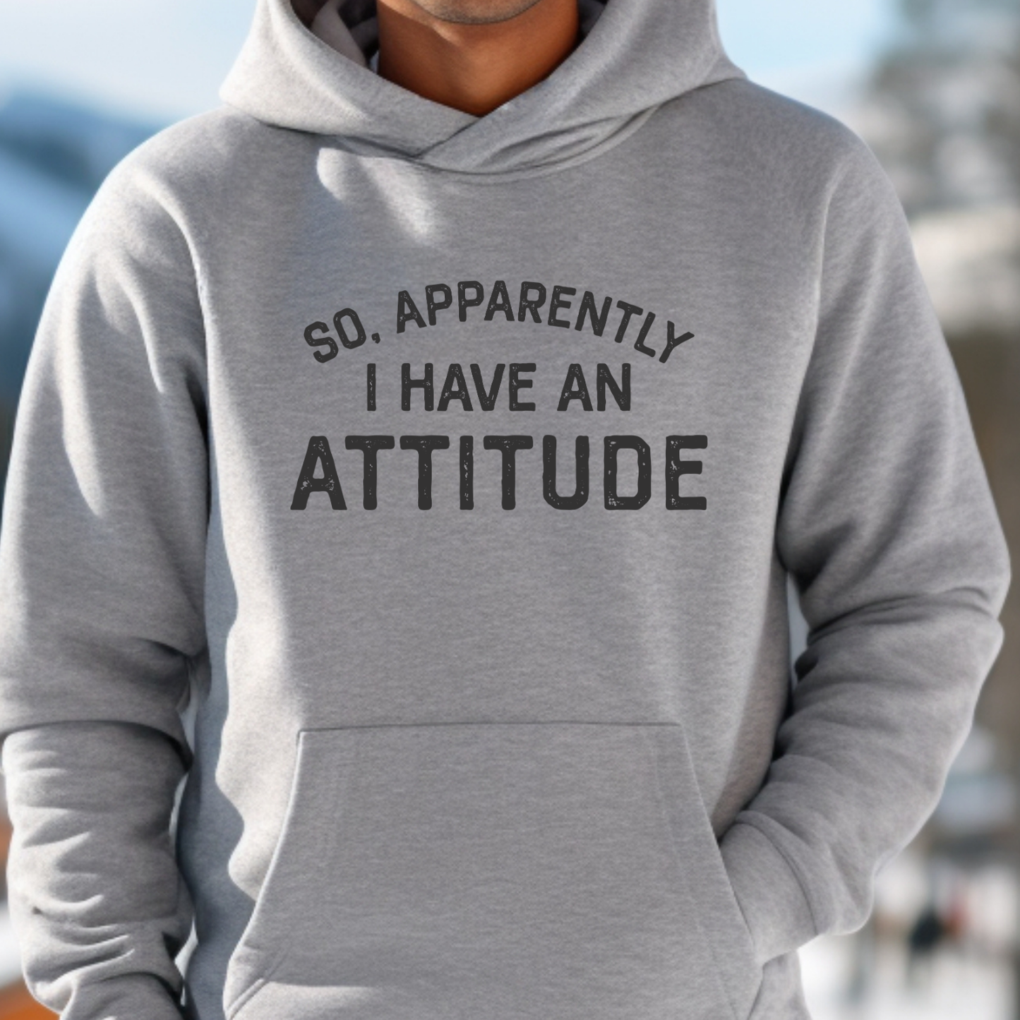 So, Apparently I have an ATTITUDE